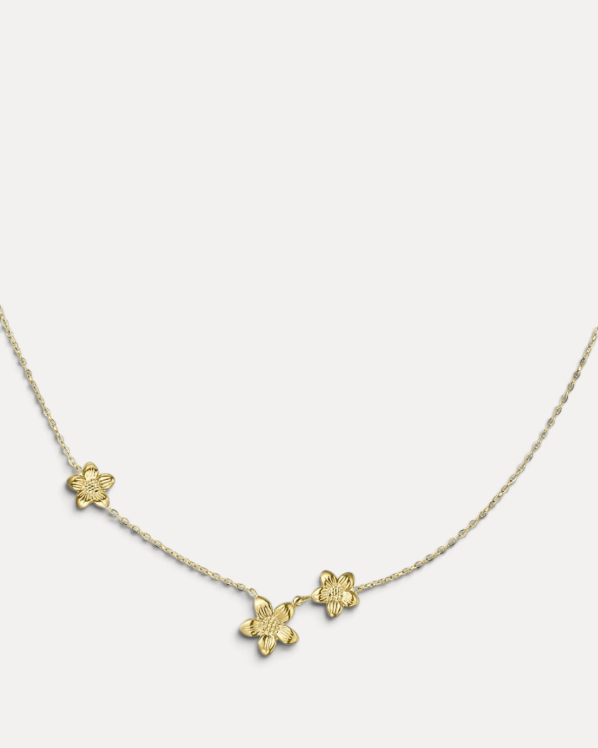 Lavinia Halsband