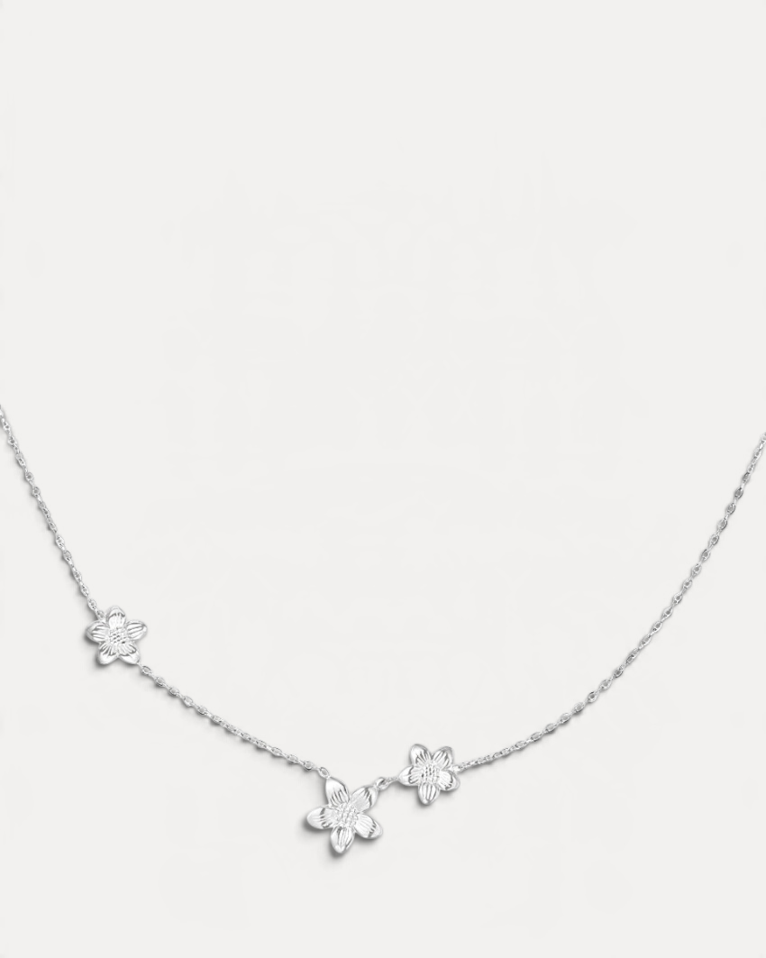 Lavinia Halsband