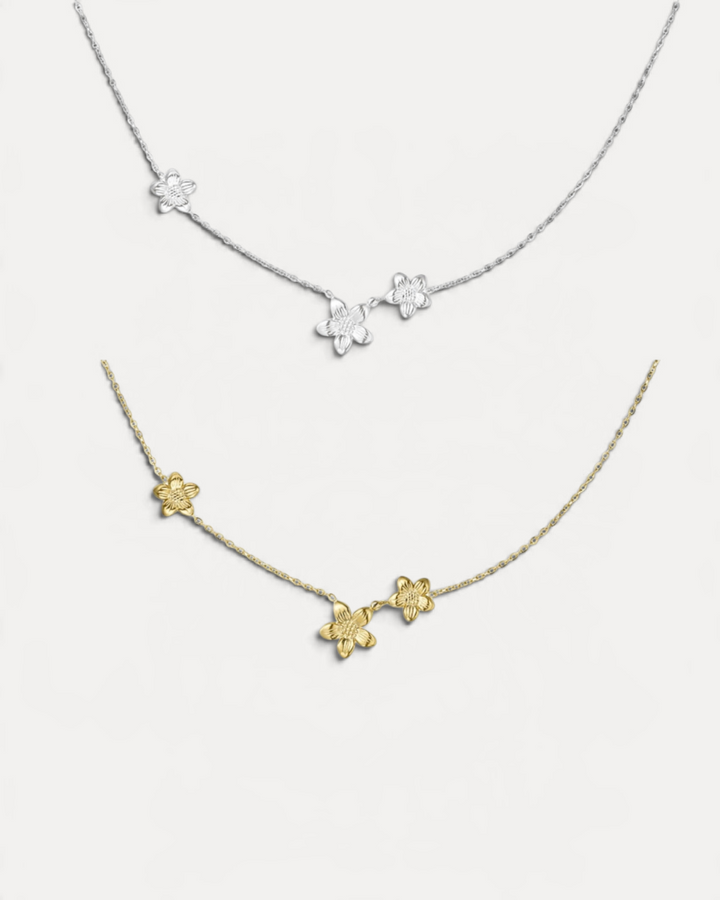 Lavinia Halsband