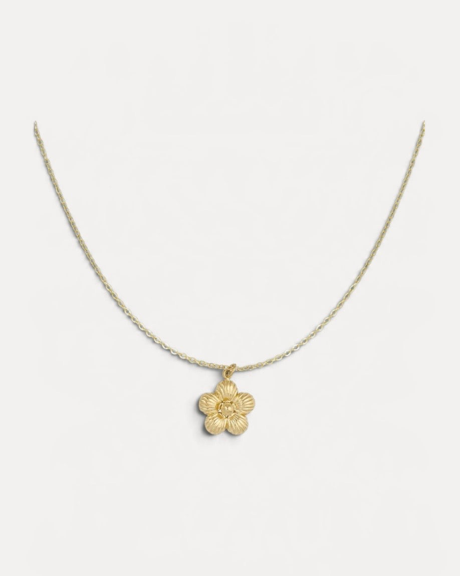 Daisy halsband
