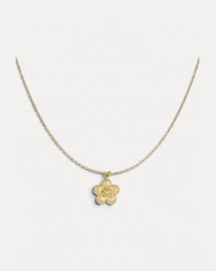 Daisy halsband