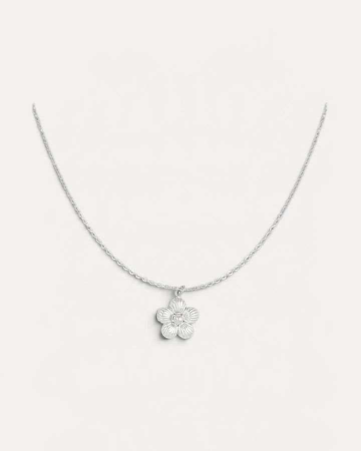 Daisy halsband